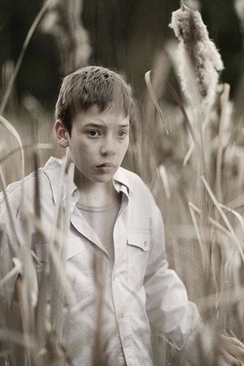 Movie poster for Pinion (2010)