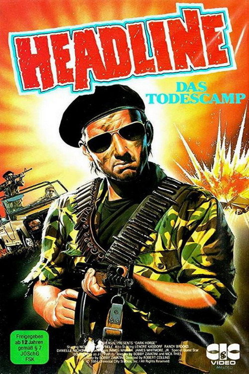 Movie poster for Dark Horse (1985)
