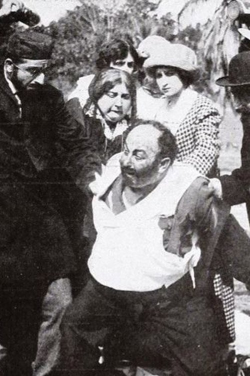 Movie poster for Frayed Fagin's Adventures (1913)