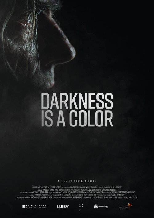 Movie poster for Darkness Is A Color (2019)