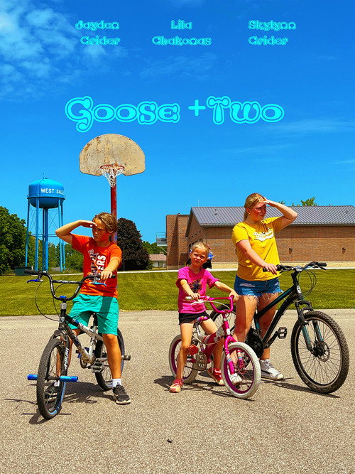 Movie poster for Goose + 2 (2024)