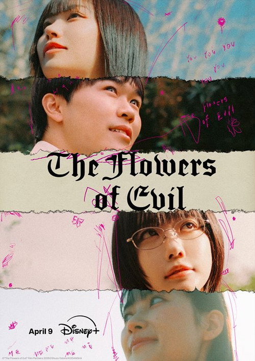 Series poster for The Flowers of Evil (2026)