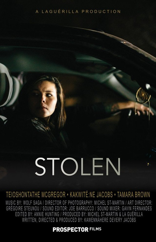Movie poster for Stolen (2016)