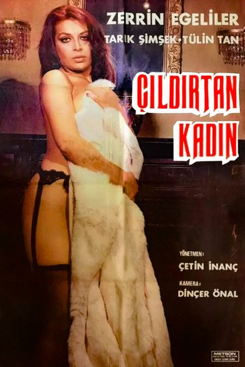 Movie poster for Çıldırtan Kadın (1978)