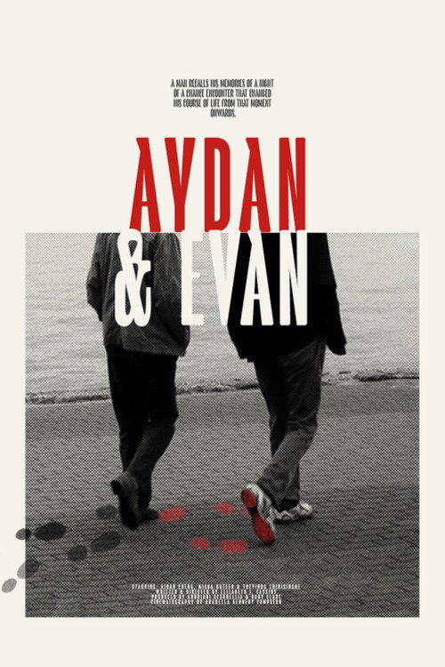 Movie poster for Aydan & Evan (2021)
