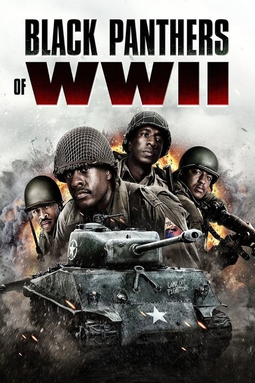 Movie poster for Black Panthers of WWII (2025)