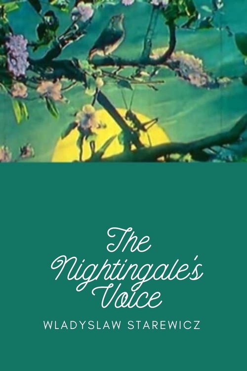 Movie poster for Voice of the Nightingale (1923)