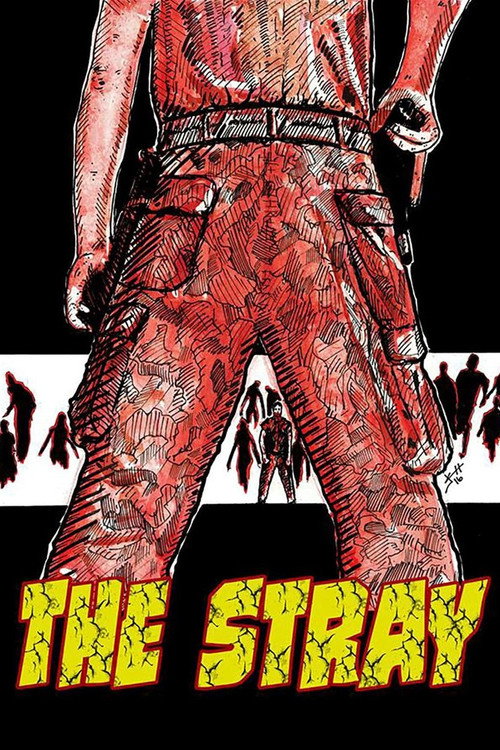 Movie poster for The Stray (2016)