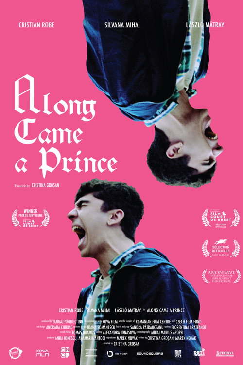 Movie poster for Along Came a Prince (2021)