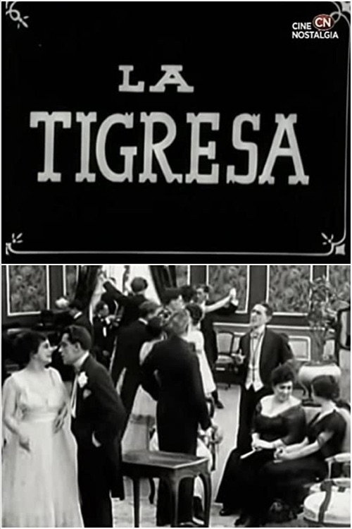 Movie poster for The Tigress (1917)