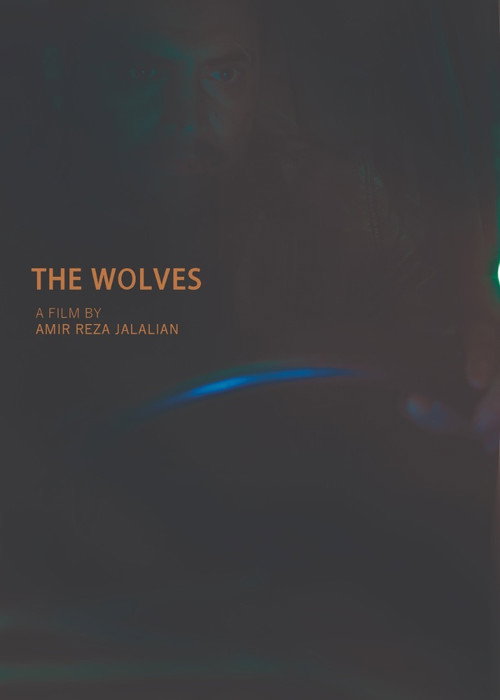 Movie poster for The Wolves (2018)