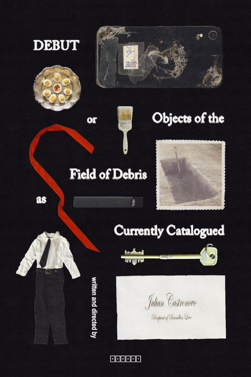 Movie poster for Debut, or, Objects of the Field of Debris as Currently Catalogued (2025)