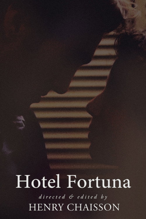 Movie poster for Hotel Fortuna (2013)