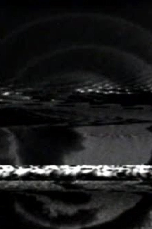 Movie poster for Black Video 2 (1966)