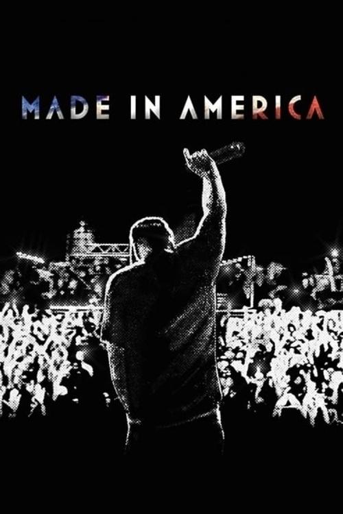 Movie poster for Made in America (2013)