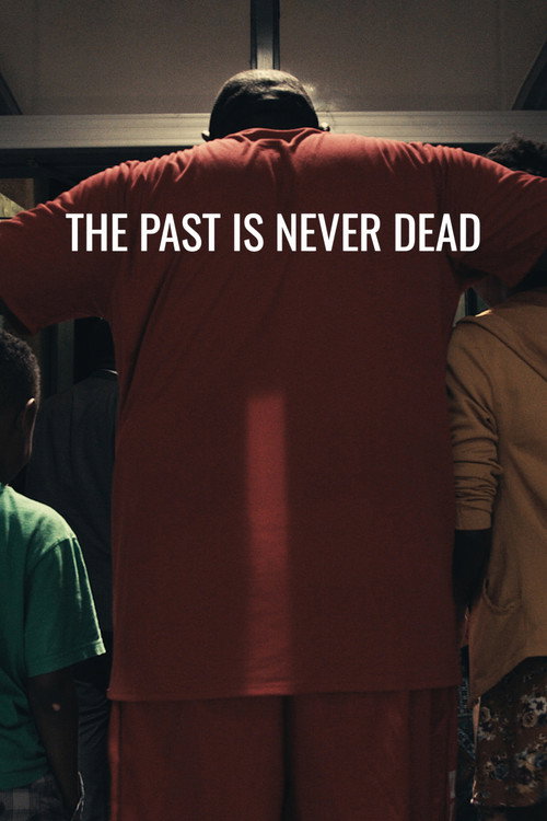 Movie poster for The Past Is Never Dead (2019)