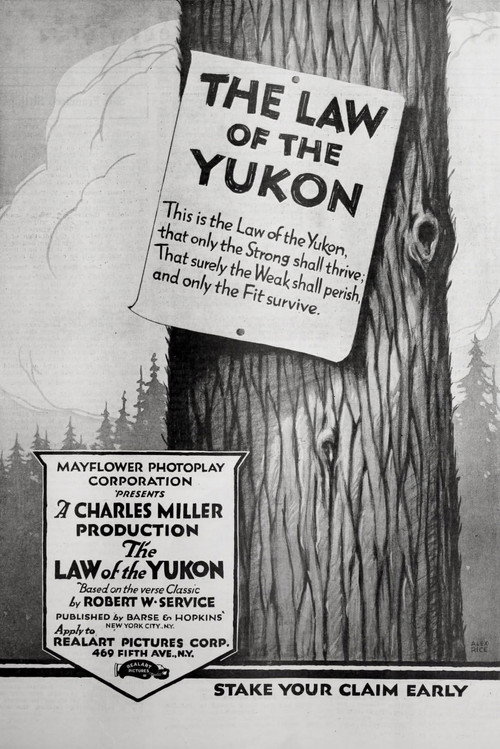 Movie poster for The Law of the Yukon (1920)