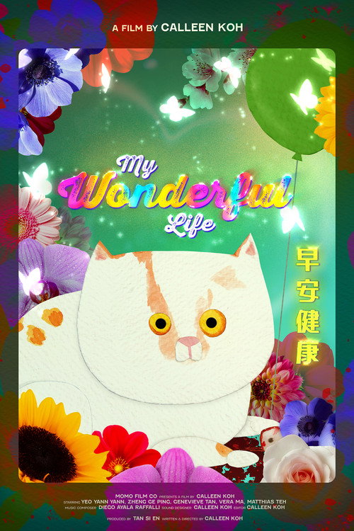 Movie poster for My Wonderful Life (2024)