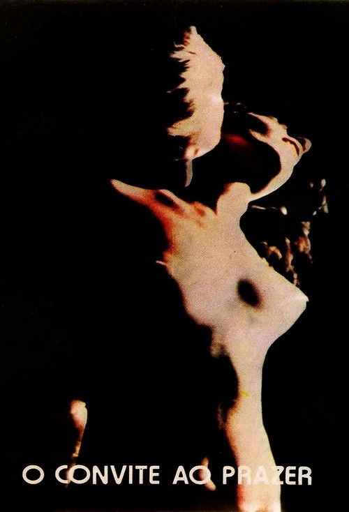 Movie poster for Invitation to Pleasure (1980)
