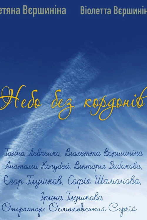 Movie poster for Borderless sky (2025)