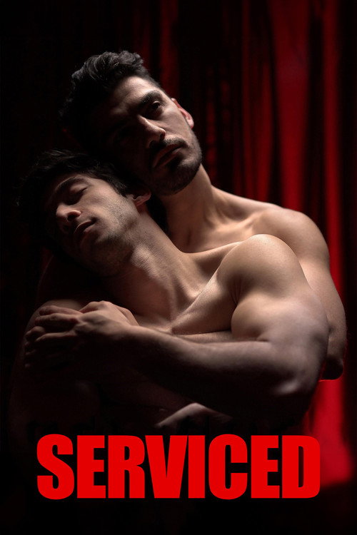 Movie poster for Serviced (2019)