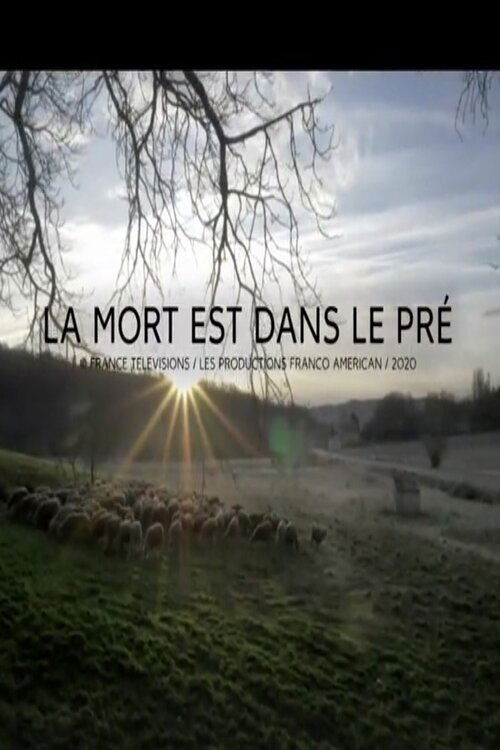 Movie poster for La Mort est dans le pré (2021)