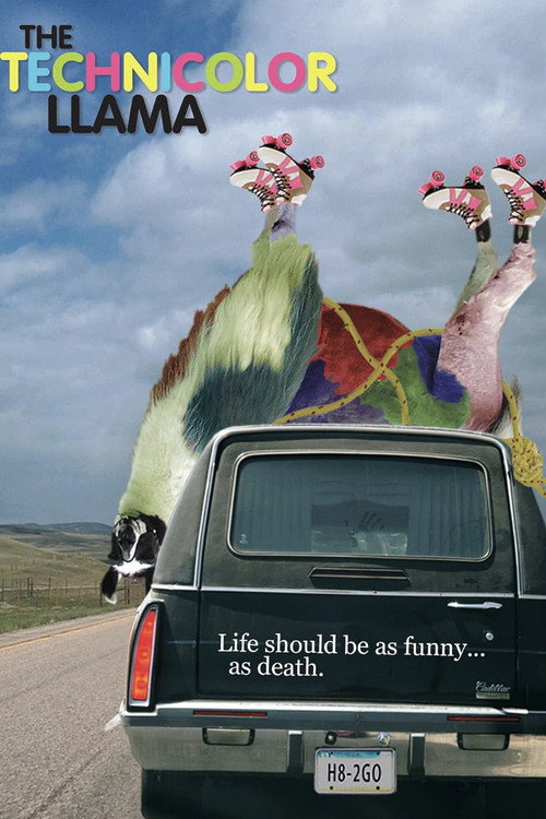 Movie poster for Technicolor Llama (2014)