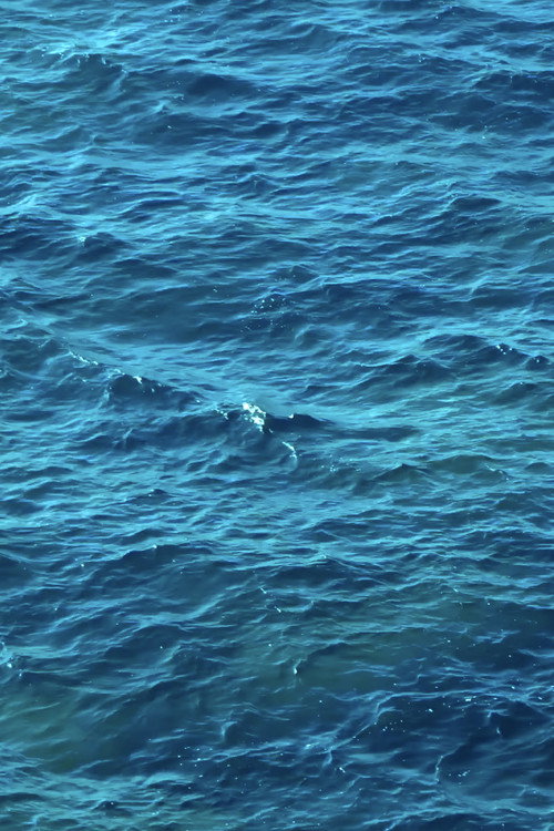 Movie poster for Desde la mar (2022)