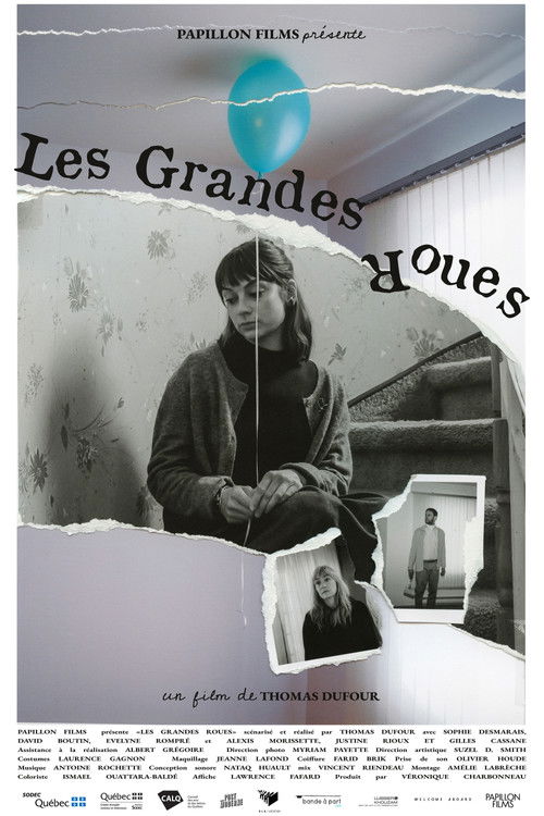 Ferris Wheels poster