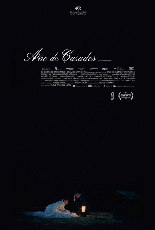 Movie poster for A Year of Marriage (2025)