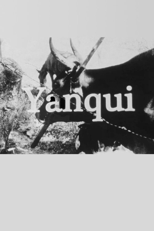 Movie poster for Yanqui WALKER and the OPTICAL REVOLUTION (2009)