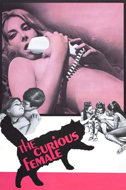 Movie poster for The Curious Female (1970)