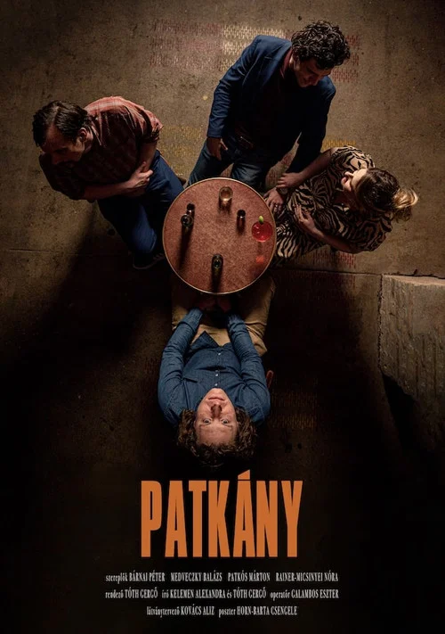 Movie poster for Patkány