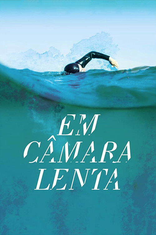 Em Câmara Lenta poster