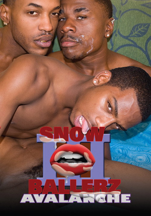 Movie poster for Snow Ballerz 3: Avalanche! (2009)