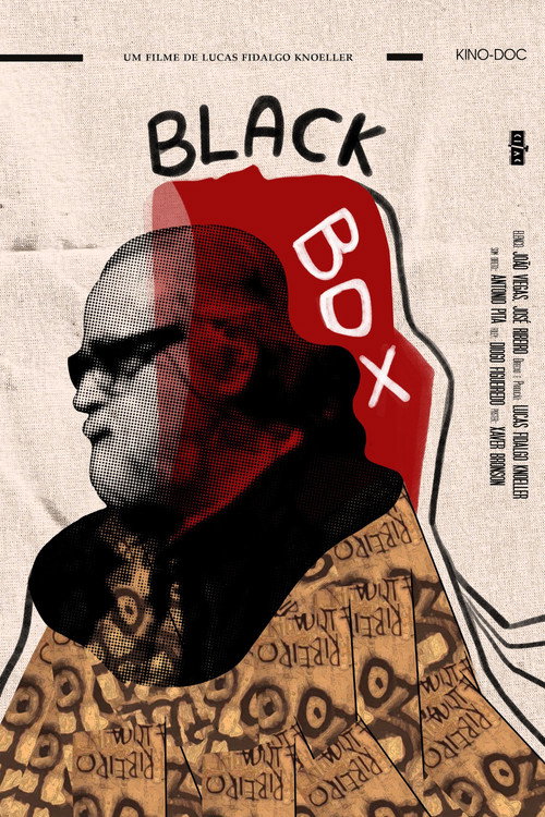 Movie poster for Black Box
