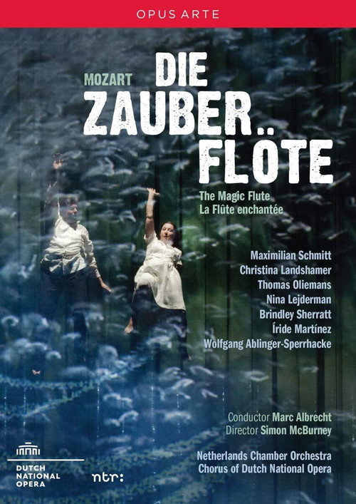Movie poster for Mozart: The Magic Flute (2015)