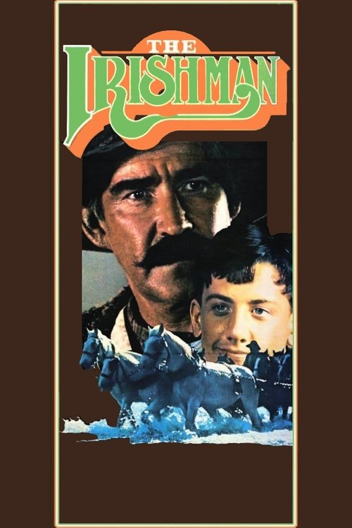 Movie poster for The Irishman (1978)