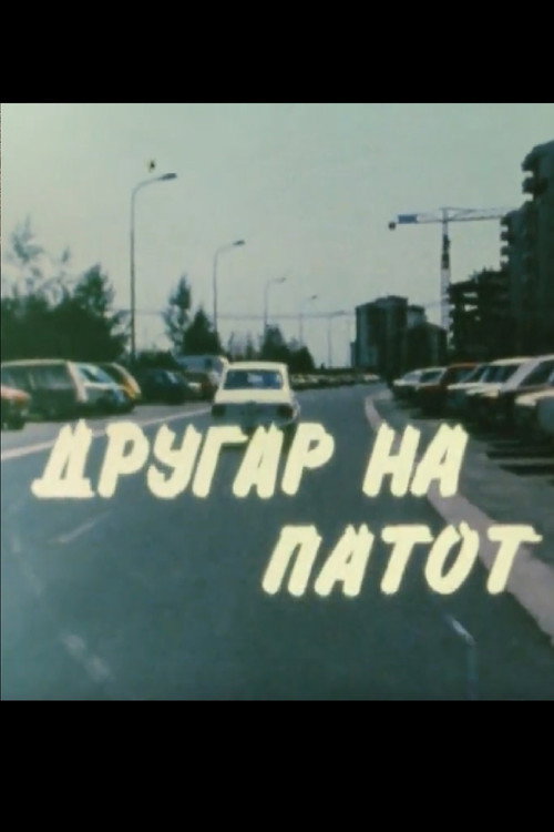 Movie poster for Friend on the Road (1985)