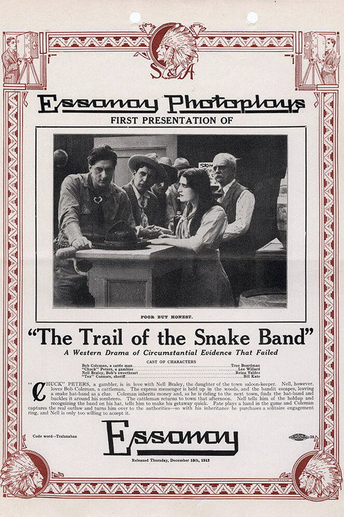 Movie poster for The Trail of the Snake Band (1913)