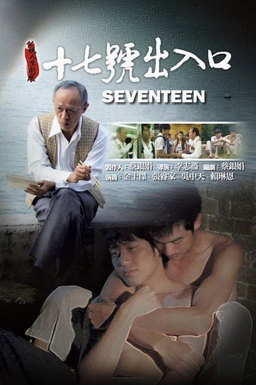 Movie poster for Seventeen (2011)