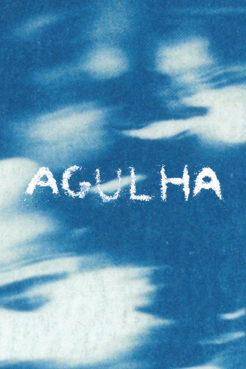 Movie poster for AGULHA (2026)