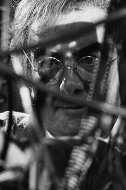 Something in the Cellar poster