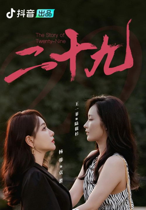 The Story of Twenty-Nine poster