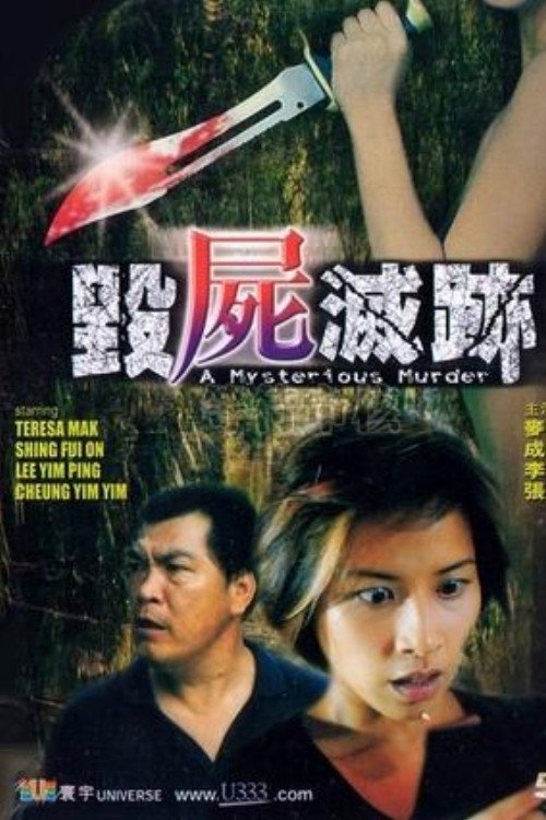 Movie poster for A Mysterious Murder (2003)