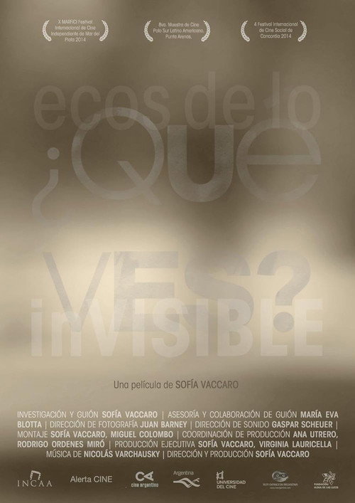 Movie poster for ¿Qué ves? Ecos de lo invisible (2014)