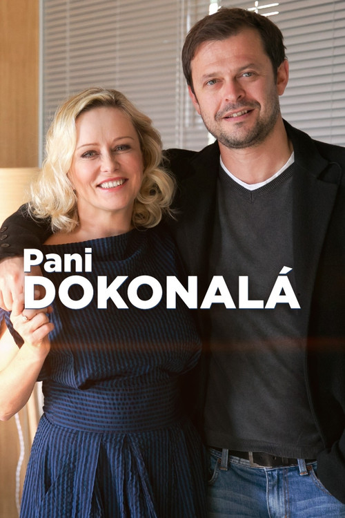 Movie poster for Pani Dokonalá (2018)