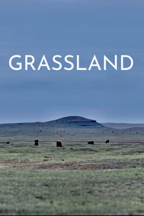 Movie poster for Grassland (2023)