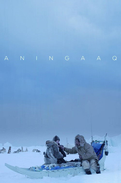 Movie poster for Aningaaq (2013)
