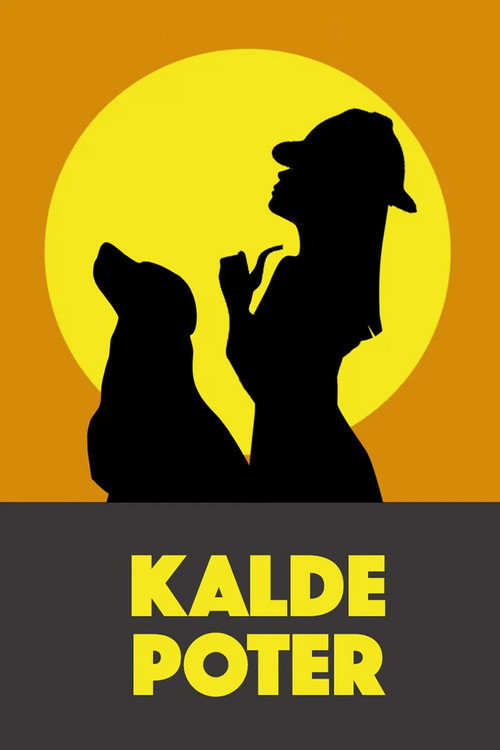 Movie poster for Kalde poter (2018)